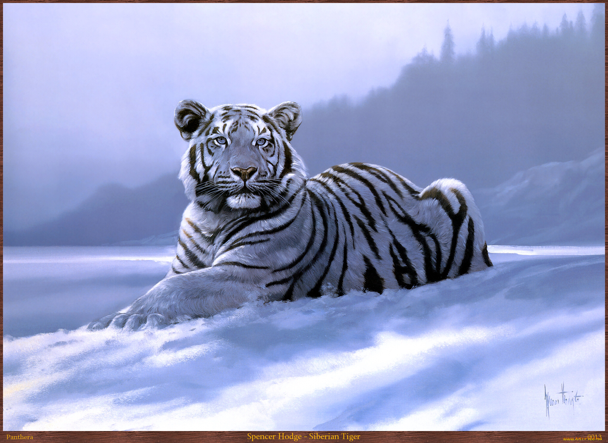 3 д звери. Белый Сибирский тигр. Сибирский тигр белый Саблезубый. Заставка на рабочий стол тигр. Белый тигр в снегу.